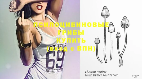 стаф Нефтегорск