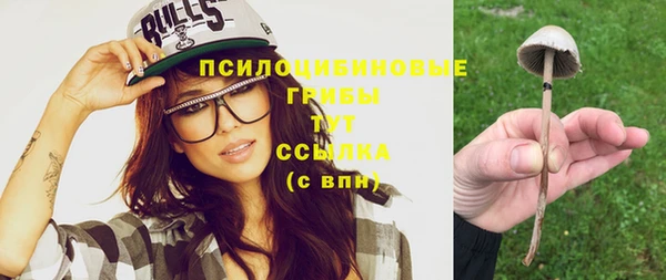 стаф Абдулино