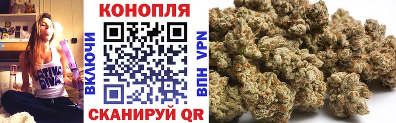 Конопля Amnesia  купить наркотики сайты  Щёлково 